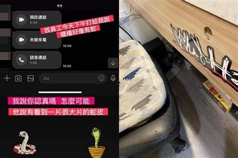 公司出現蛇|公司有蛇出沒嚇壞櫃檯妹妹 老闆休假趕回看到竟是「氣泡紙」惹禍